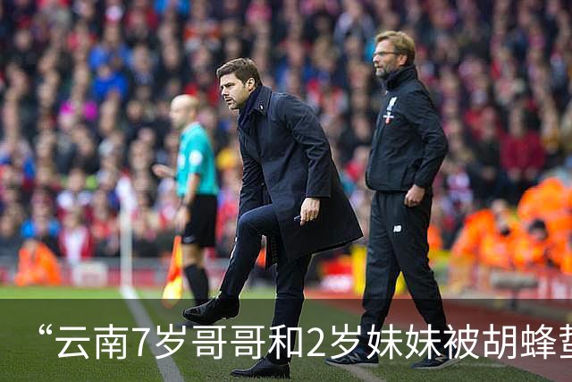 “云南7岁哥哥和2岁妹妹被胡蜂蜇亡案”明日开庭，受害者父母：没有义务共情养蜂人，做不到大度原谅，一家人硬撑，心结一辈子都解不开