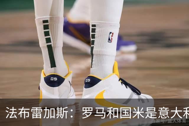 法布雷加斯：罗马和国米是意大利最强两队，我会看两队的对决