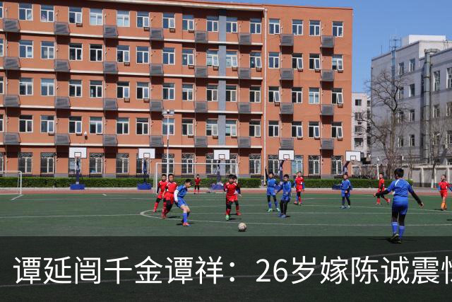 谭延闿千金谭祥：26岁嫁陈诚震惊上海滩，更用一生诠释何为贤内助