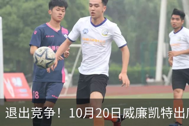 退出竞争！10月20日威廉凯特出席公务，哈里梅根的在职说不攻自破