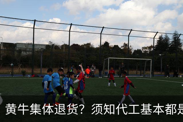黄牛集体退货？须知代工基本都是国内：iPhone Duo这出戏谁在撒谎