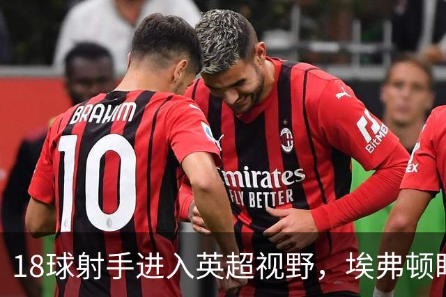 18球射手进入英超视野，埃弗顿盯上26岁前锋
